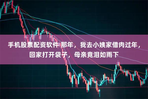 手机股票配资软件 那年,我去小姨家借肉过年,回家打开袋子,母亲竟泪如雨下